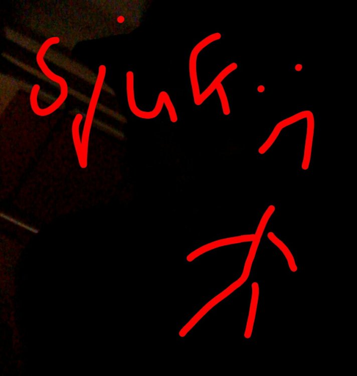 Screenshot_2013-10-03-20-33-59_1.jpg image